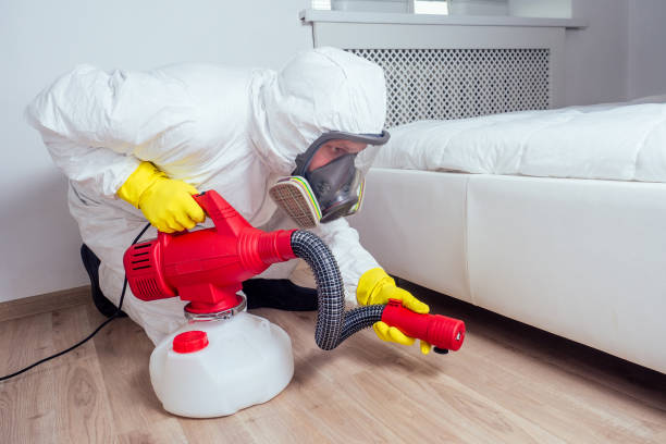 Best Affordable Pest Control Services  in Rossville, IN