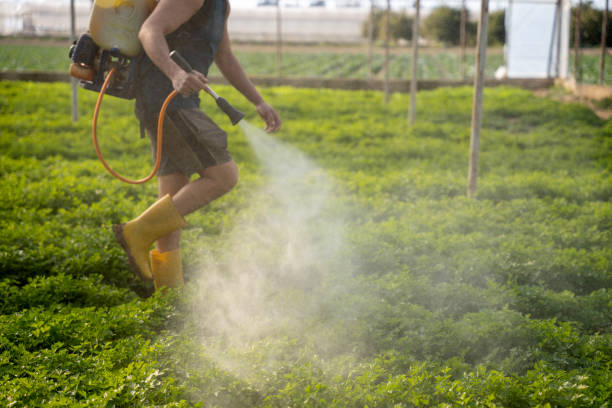 Best Commercial Pest Control Services  in Rossville, IN