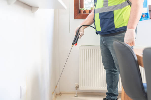 Best Pest Control Near Me  in Rossville, IN