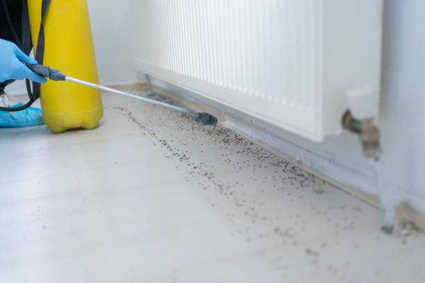Best Best Pest Control Companies  in Rossville, IN
