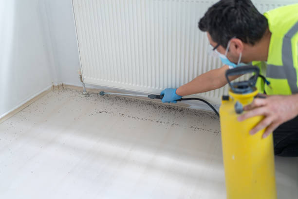 Best Ant Control Services  in Rossville, IN